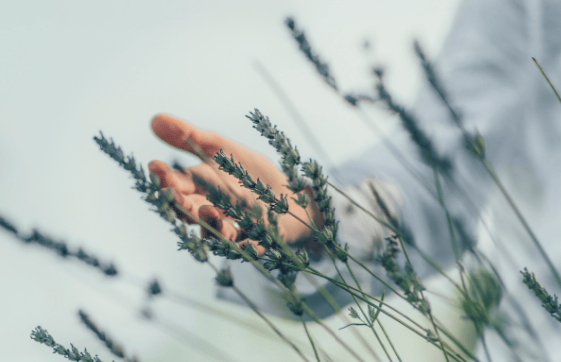 Ein Raum für Meditation und Achtsamkeit, zum Innehalten, Durchatmen und liebevollen Zurückkehren in Körper, Atem und gegenwärtigen Moment.