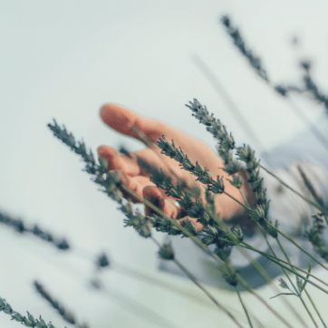 Ein Raum für Meditation und Achtsamkeit, zum Innehalten, Durchatmen und liebevollen Zurückkehren in Körper, Atem und gegenwärtigen Moment.