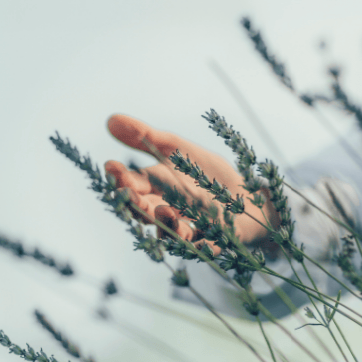 Mit sich und der Natur im Einklang